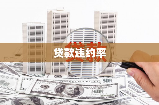 兴平贷款违约率