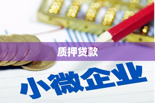 兴平质押贷款