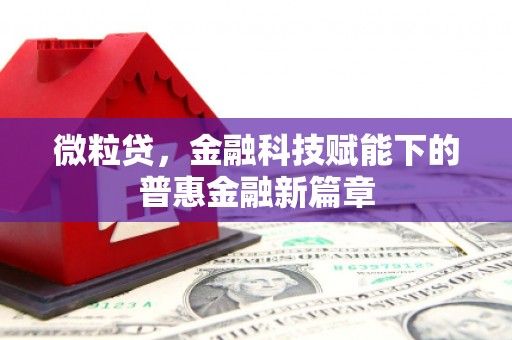 兴平微粒贷，金融科技赋能下的普惠金融新篇章