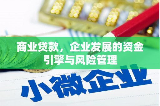 兴平商业贷款，企业发展的资金引擎与风险管理