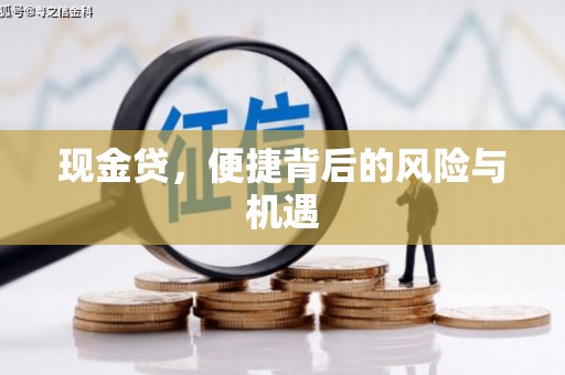 兴平现金贷，便捷背后的风险与机遇