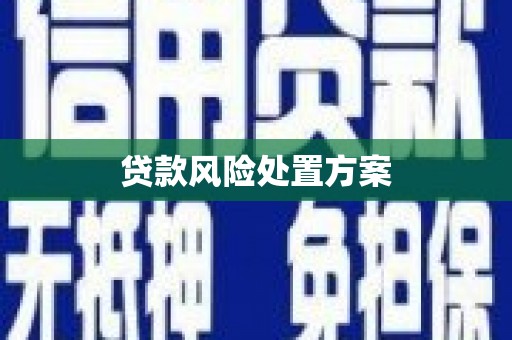 兴平贷款风险处置方案