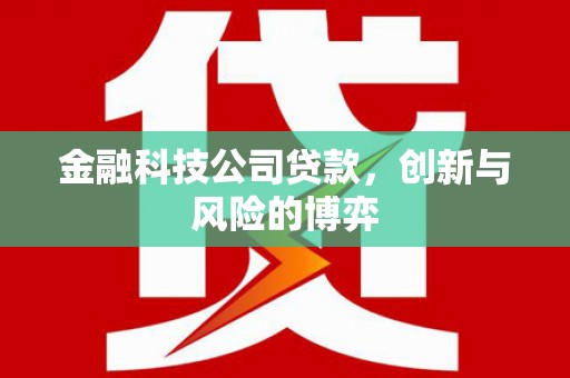 兴平金融科技公司贷款，创新与风险的博弈