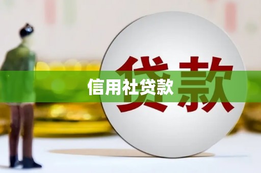 兴平信用社贷款
