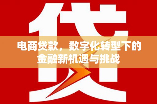 兴平电商贷款，数字化转型下的金融新机遇与挑战