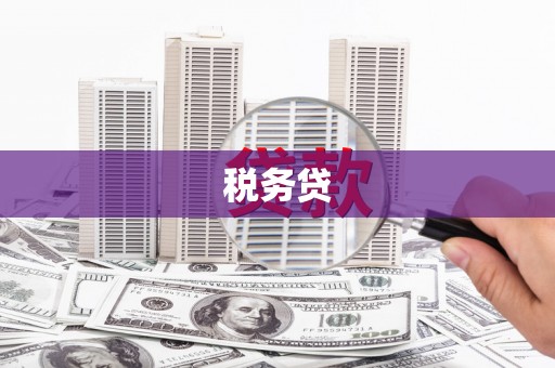 兴平税务贷