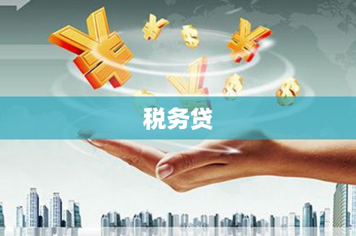 兴平税务贷