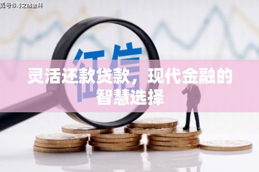 兴平灵活还款贷款，现代金融的智慧选择