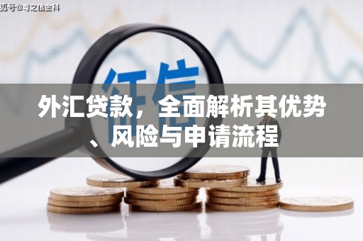 兴平外汇贷款，全面解析其优势、风险与申请流程