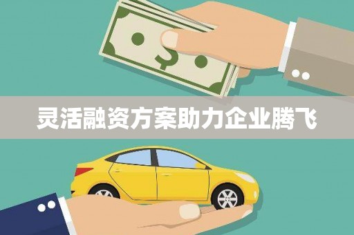 兴平灵活融资方案助力企业腾飞