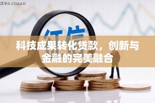 兴平科技成果转化贷款，创新与金融的完美融合