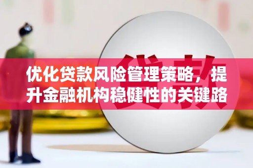 兴平优化贷款风险管理策略，提升金融机构稳健性的关键路径