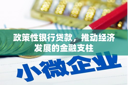 兴平政策性银行贷款，推动经济发展的金融支柱