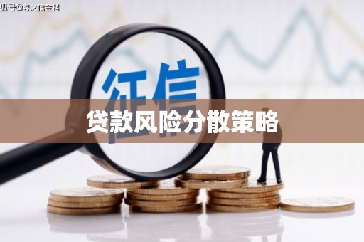 兴平贷款风险分散策略
