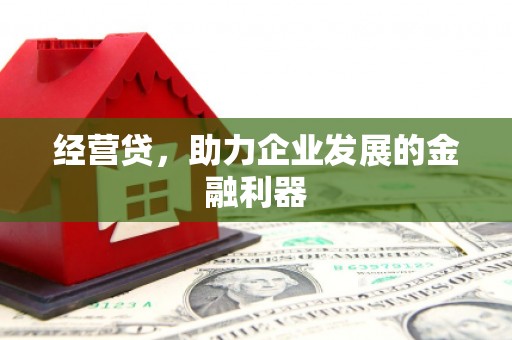 兴平经营贷，助力企业发展的金融利器