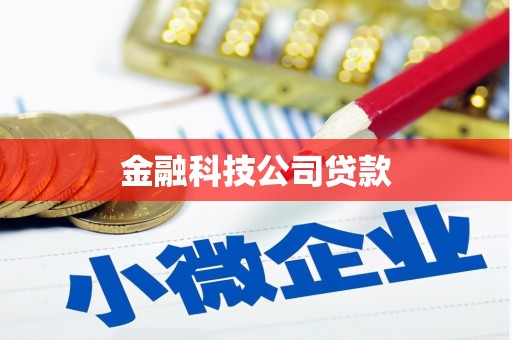 兴平金融科技公司贷款