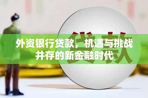 兴平外资银行贷款，机遇与挑战并存的新金融时代