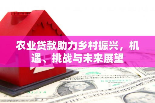 兴平农业贷款助力乡村振兴，机遇、挑战与未来展望