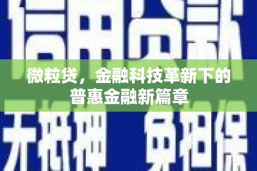 兴平微粒贷，金融科技革新下的普惠金融新篇章