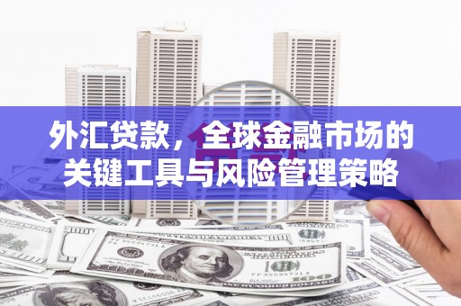 兴平外汇贷款，全球金融市场的关键工具与风险管理策略