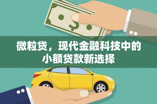兴平微粒贷，现代金融科技中的小额贷款新选择