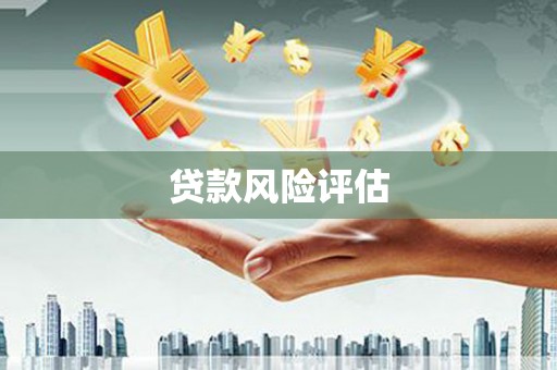 兴平贷款风险评估