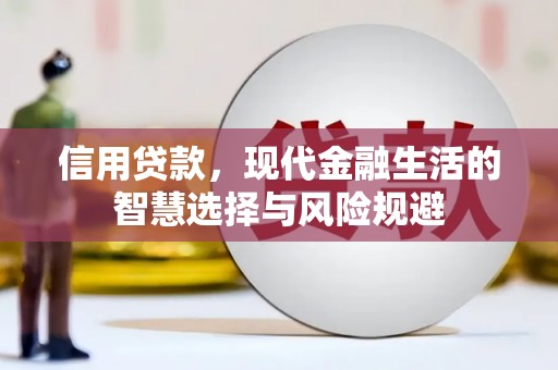 兴平信用贷款，现代金融生活的智慧选择与风险规避