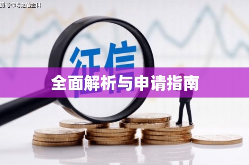 兴平全面解析与申请指南