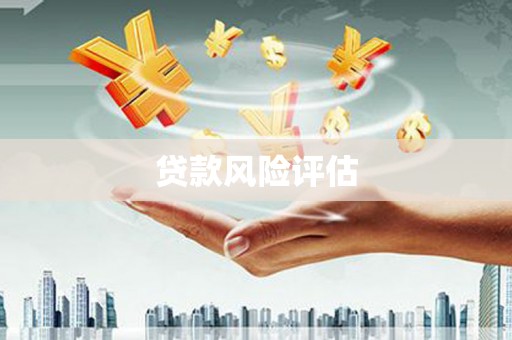 兴平贷款风险评估