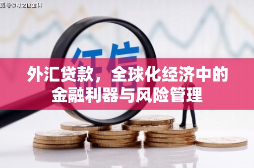 兴平外汇贷款，全球化经济中的金融利器与风险管理