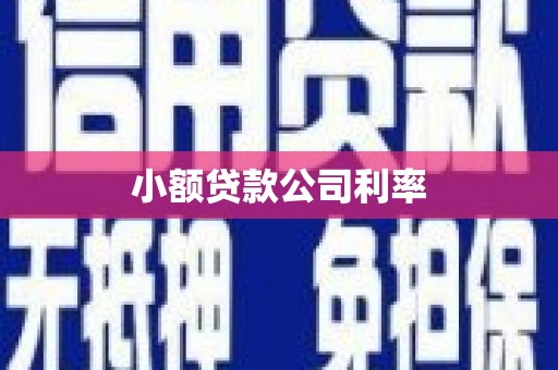 兴平小额贷款公司利率