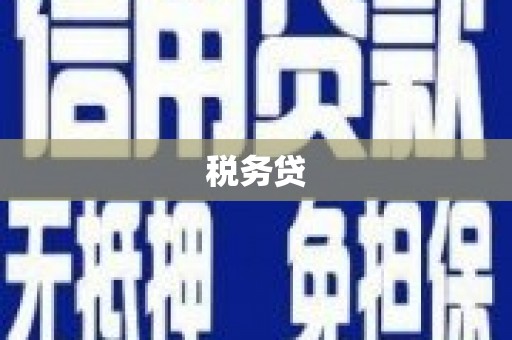 兴平税务贷