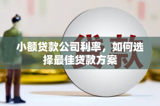 兴平小额贷款公司利率，如何选择最佳贷款方案