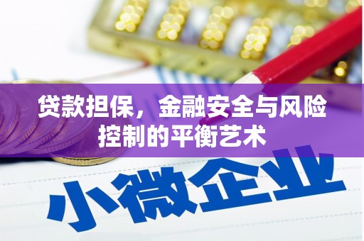 兴平贷款担保，金融安全与风险控制的平衡艺术