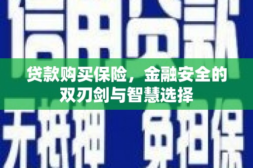 兴平贷款购买保险，金融安全的双刃剑与智慧选择