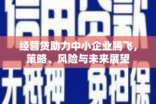 兴平经营贷助力中小企业腾飞，策略、风险与未来展望