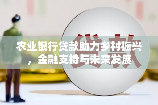 兴平农业银行贷款助力乡村振兴，金融支持与未来发展