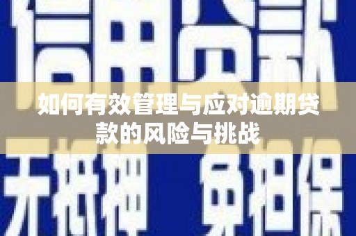 兴平如何有效管理与应对逾期贷款的风险与挑战