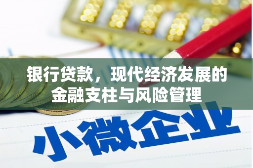 兴平银行贷款，现代经济发展的金融支柱与风险管理