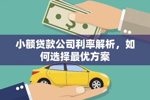 兴平小额贷款公司利率解析，如何选择最优方案