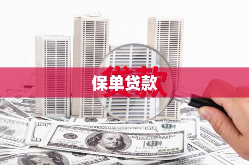 兴平保单贷款
