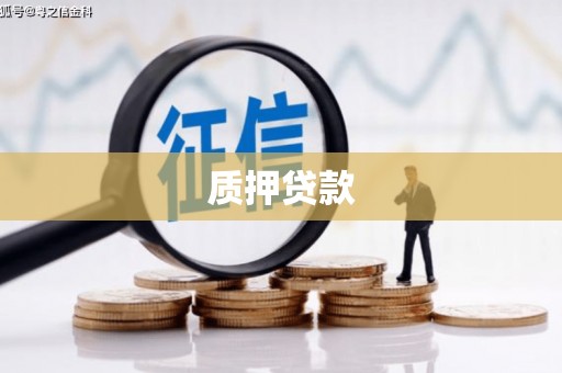 兴平质押贷款