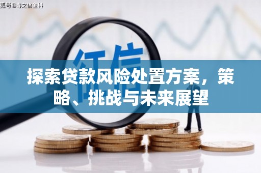 兴平探索贷款风险处置方案，策略、挑战与未来展望