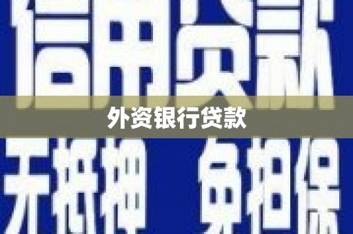 兴平外资银行贷款