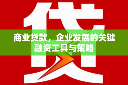 兴平商业贷款，企业发展的关键融资工具与策略