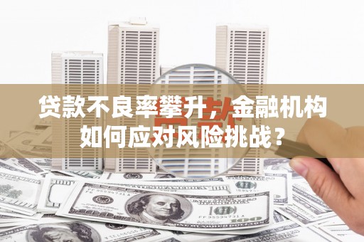 兴平贷款不良率攀升，金融机构如何应对风险挑战？