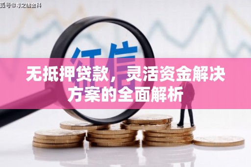 兴平无抵押贷款，灵活资金解决方案的全面解析