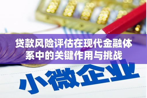兴平贷款风险评估在现代金融体系中的关键作用与挑战