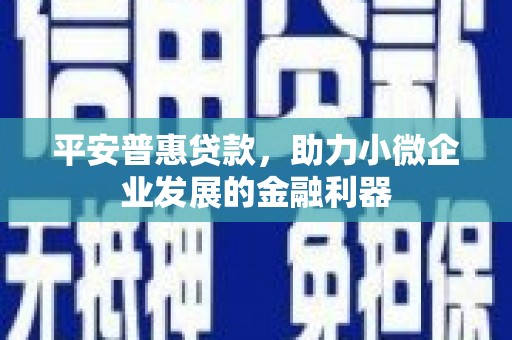 兴平平安普惠贷款，助力小微企业发展的金融利器