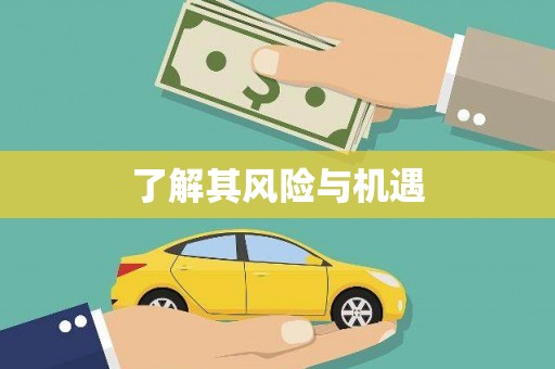 兴平了解其风险与机遇